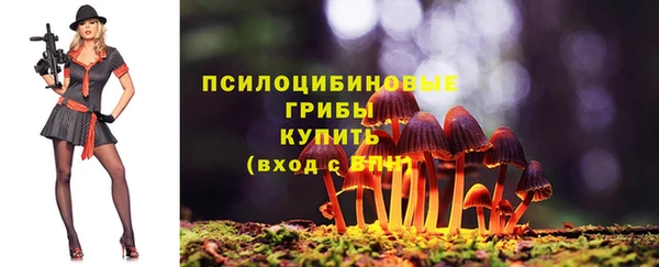 молекула духа Верея