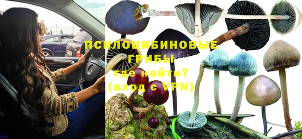 молекула духа Верея